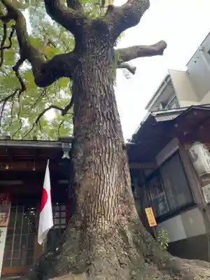 若一神社(京都府)