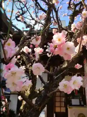 四谷於岩稲荷田宮神社(東京都)