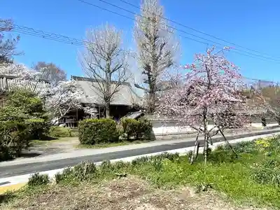 本誓寺(東本誓寺)(滋賀県)