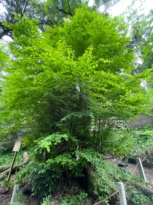 貴船神社奥宮(京都府)