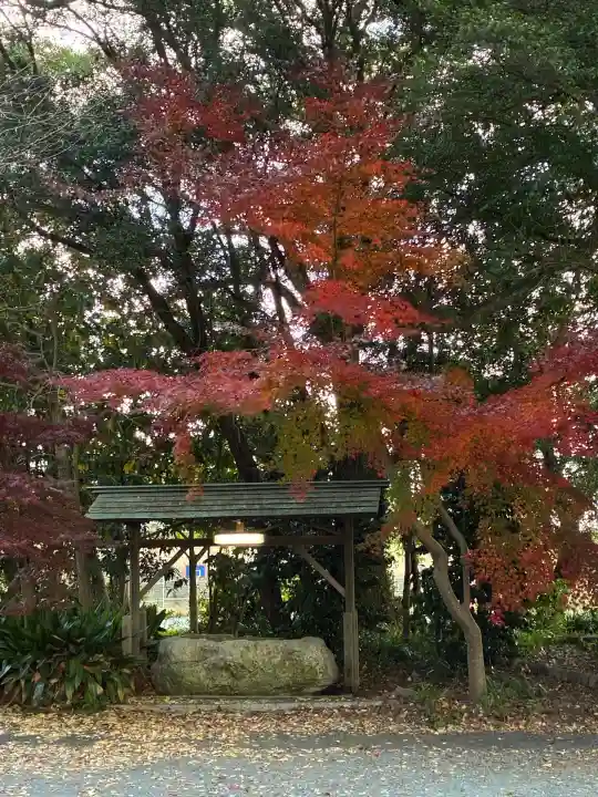 宗像神社(静岡県)
