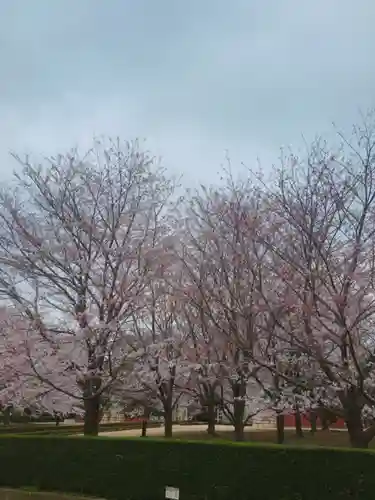 総持寺の自然