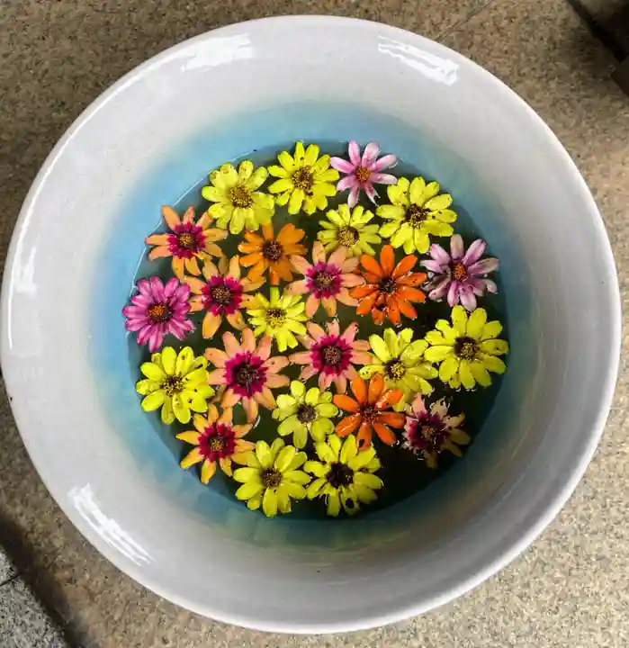 白金氷川神社(東京都)
