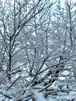 伊達神社(北海道)