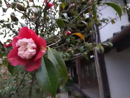 換骨堂（元真如堂）(京都府)