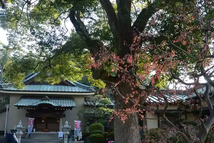 常光寺(神奈川県)