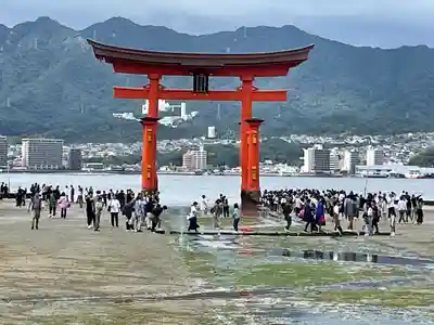 厳島神社(広島県)
