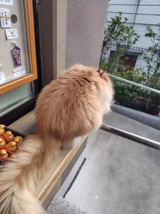 駒込妙義神社(東京都)