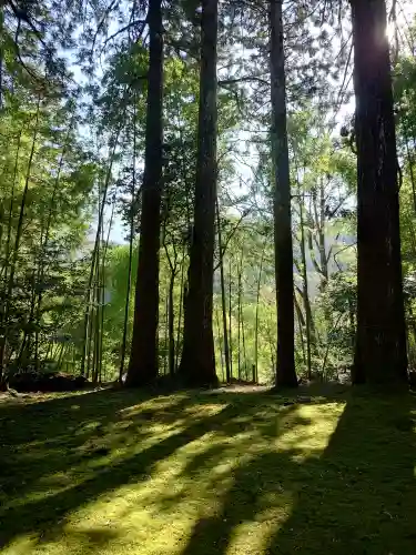 天津神社の{uncategorized: "未分類", other: "その他", undefined: "問題あり", building: "その他建物", grave: "お墓", sacred_gate: "鳥居", guardian: "狛犬", statue: "像", buddha: "仏像", history: "歴史", nature: "自然", garden: "庭園", animal: "動物", pagoda: "塔", temizu: "手水舎", mountain_gate: "山門・神門", sanctuary: "本殿・本堂", subordinate: "末社・摂社", art: "芸術", scenery: "景色", jizo: "地蔵", ema: "絵馬", goshuin: "御朱印", omikuji: "おみくじ", items: "授与品その他", amulet: "お守り", goshuincho: "御朱印帳", eats: "食事", festival: "お祭り", votive_dance: "神楽", shichigosan: "七五三参", wedding: "結婚式", experience: "体験その他", initially: "初詣", around: "周辺", anti_infection: "感染症対策"}