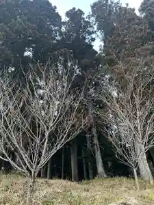 大宮温泉神社(栃木県)(2024年01月24日(水) 08時08分05秒投稿)