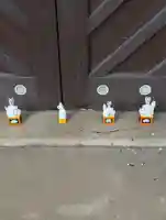 帷子稲荷神社(神奈川県)