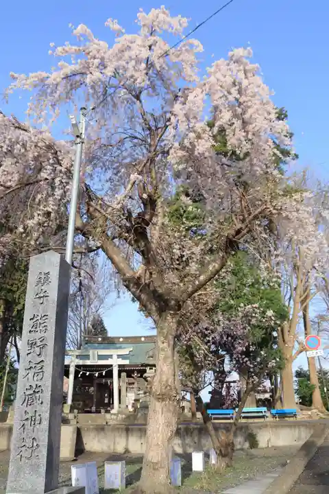 熊野福藏神社の自然