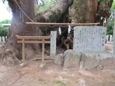 宇美八幡宮の自然