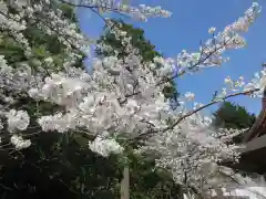 松尾寺(京都府)