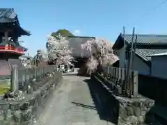 行善寺の本殿