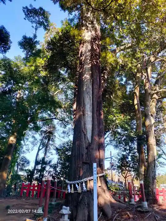 麻賀多神社奥宮の自然