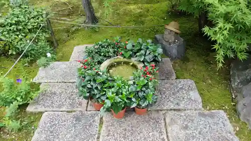 勝林寺(京都府)