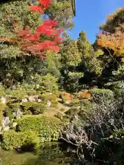 龍潭寺(滋賀県)