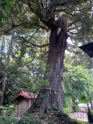 柳崎氷川神社(埼玉県)