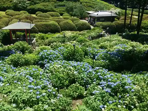 三室戸寺の庭園