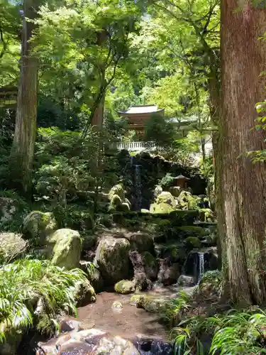 最乗寺（道了尊）(神奈川県)