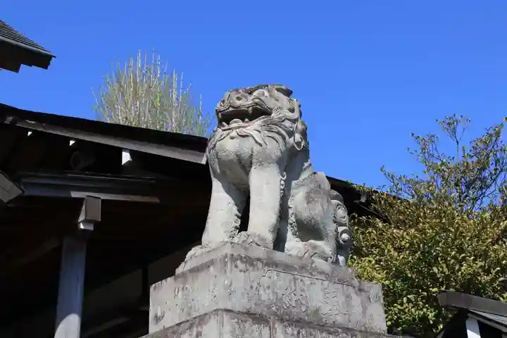 開成山大神宮の狛犬