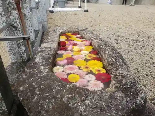 金井神社の手水舎