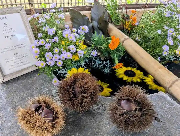 眞田神社(長野県)