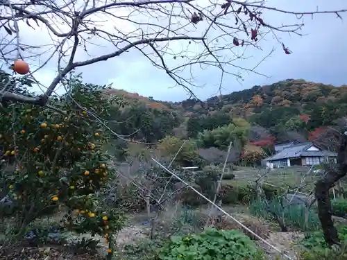 畝火山口神社の景色