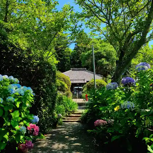 極楽寺(静岡県)