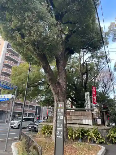 若一神社(京都府)