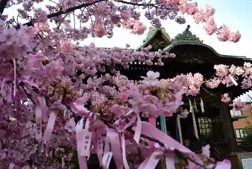 桜神宮(東京都)