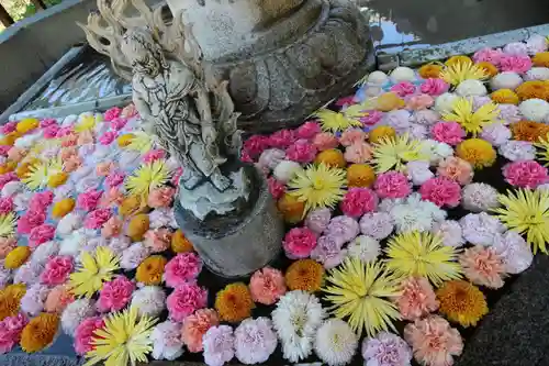 三室戸寺の手水舎