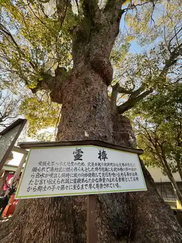 蟻通神社(和歌山県)