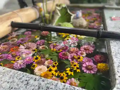 五泉八幡宮の手水舎