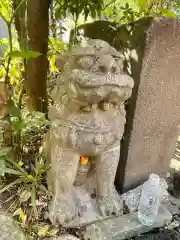 江島杉山神社の狛犬