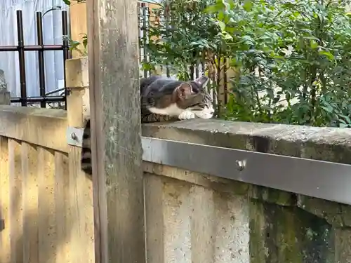 白山神社(東京都)