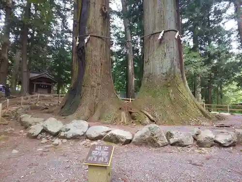 河口浅間神社の庭園