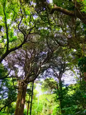 玉崎神社(千葉県)