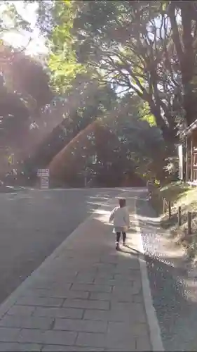 明治神宮のその他建物