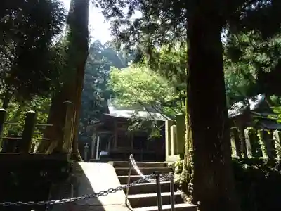 国造神社の本殿・本堂
