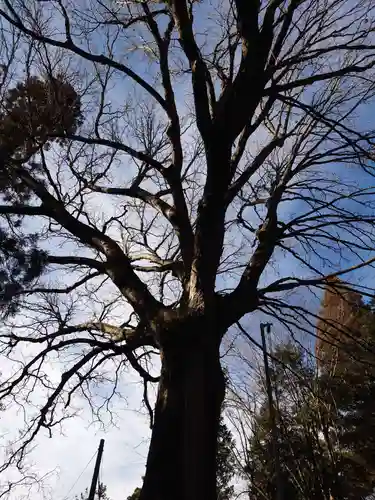 北野天神社(山梨県)