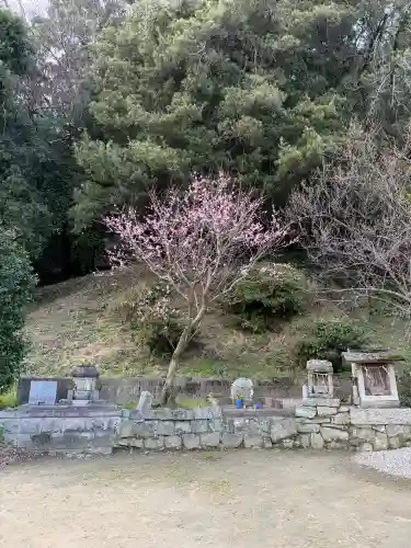 四所神社の{uncategorized: "未分類", other: "その他", undefined: "問題あり", building: "その他建物", grave: "お墓", sacred_gate: "鳥居", guardian: "狛犬", statue: "像", buddha: "仏像", history: "歴史", nature: "自然", garden: "庭園", animal: "動物", pagoda: "塔", temizu: "手水舎", mountain_gate: "山門・神門", sanctuary: "本殿・本堂", subordinate: "末社・摂社", art: "芸術", scenery: "景色", jizo: "地蔵", ema: "絵馬", goshuin: "御朱印", omikuji: "おみくじ", items: "授与品その他", amulet: "お守り", goshuincho: "御朱印帳", eats: "食事", festival: "お祭り", votive_dance: "神楽", shichigosan: "七五三参", wedding: "結婚式", experience: "体験その他", initially: "初詣", around: "周辺", anti_infection: "感染症対策"}