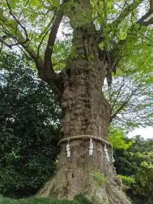 荏柄天神社(神奈川県)