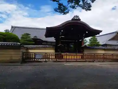 東寺（教王護国寺）(京都府)