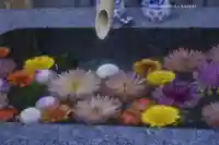 【閉業】小石川大神宮(東京都)