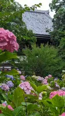  智積院(京都府)