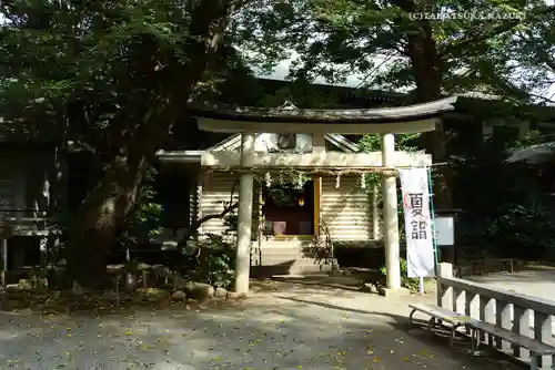 前鳥神社(神奈川県)