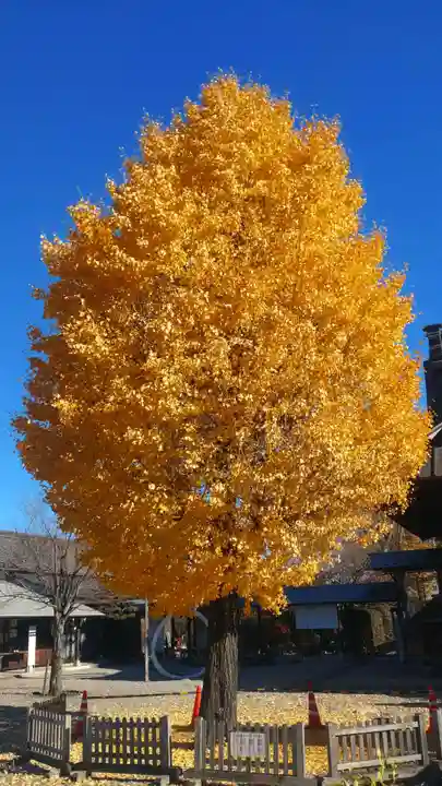 神明宮(栃木県)