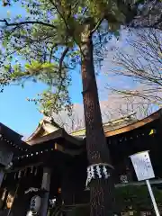 前鳥神社(神奈川県)